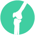 Rodilla